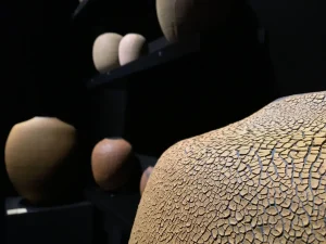 Pottery fair, 2018, Jardin des Tuileries, Paris, reflect a demanding craftsmanship and a constant search for balance between strength and delicacy